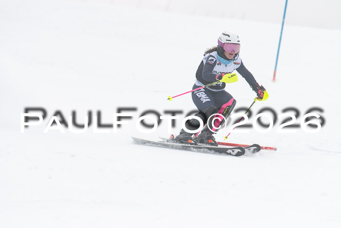 FIS Slalom Damen + Herren, 25.01.26