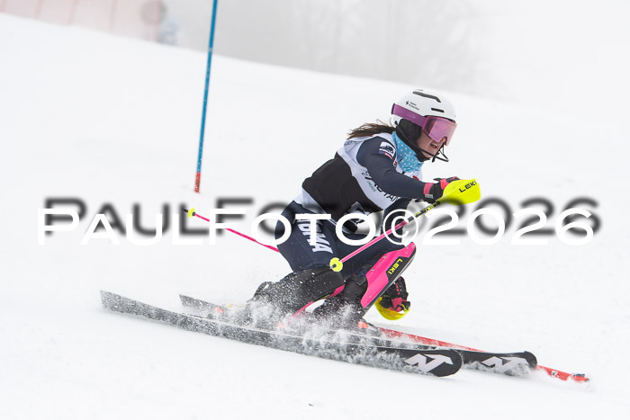 FIS Slalom Damen + Herren, 25.01.26