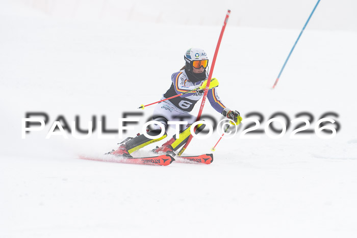 FIS Slalom Damen + Herren, 25.01.26