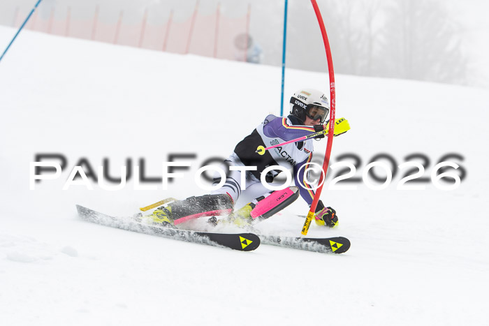 FIS Slalom Damen + Herren, 25.01.26