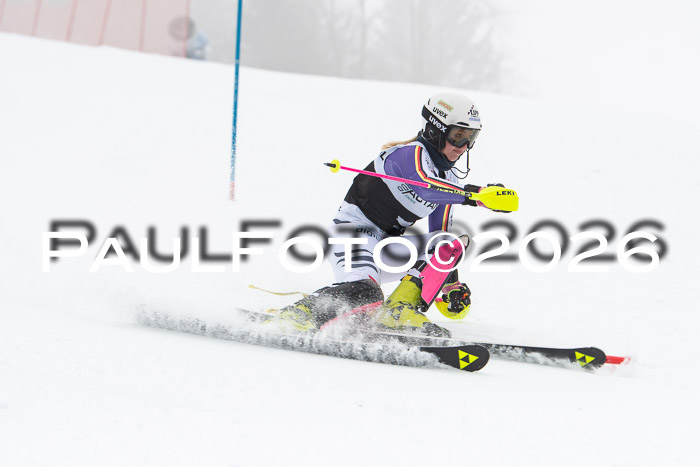 FIS Slalom Damen + Herren, 25.01.26