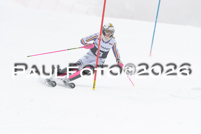 FIS Slalom Damen + Herren, 25.01.26