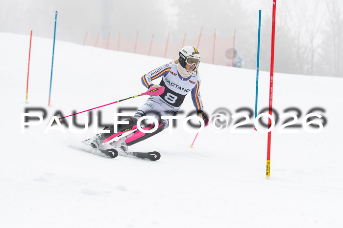 FIS Slalom Damen + Herren, 25.01.26