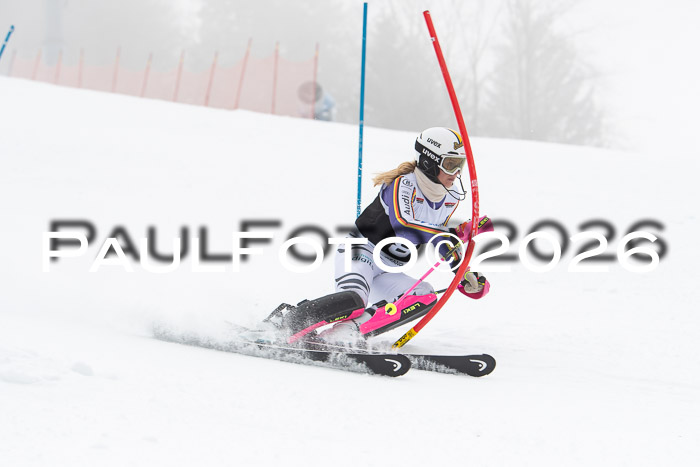 FIS Slalom Damen + Herren, 25.01.26