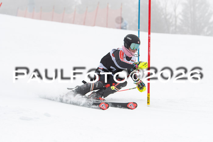 FIS Slalom Damen + Herren, 25.01.26