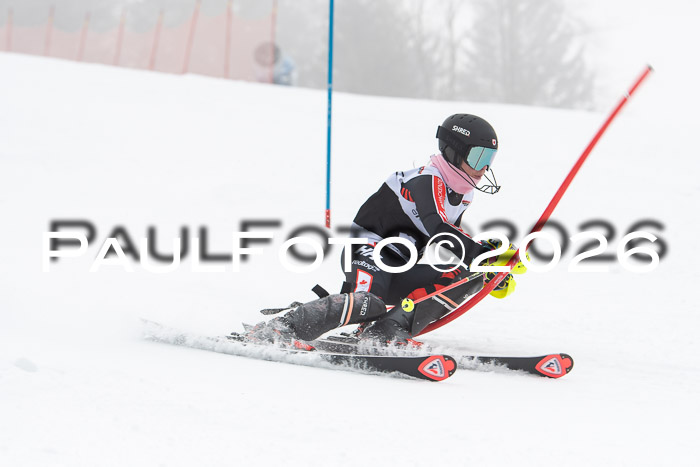 FIS Slalom Damen + Herren, 25.01.26