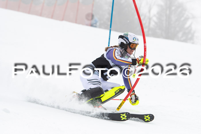 FIS Slalom Damen + Herren, 25.01.26