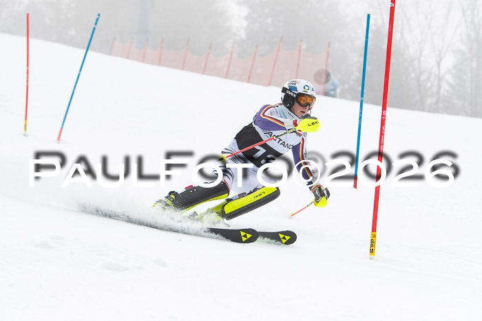 FIS Slalom Damen + Herren, 25.01.26