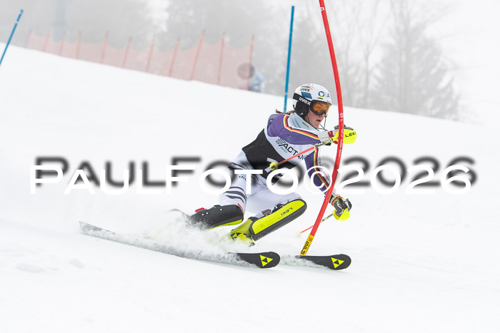 FIS Slalom Damen + Herren, 25.01.26