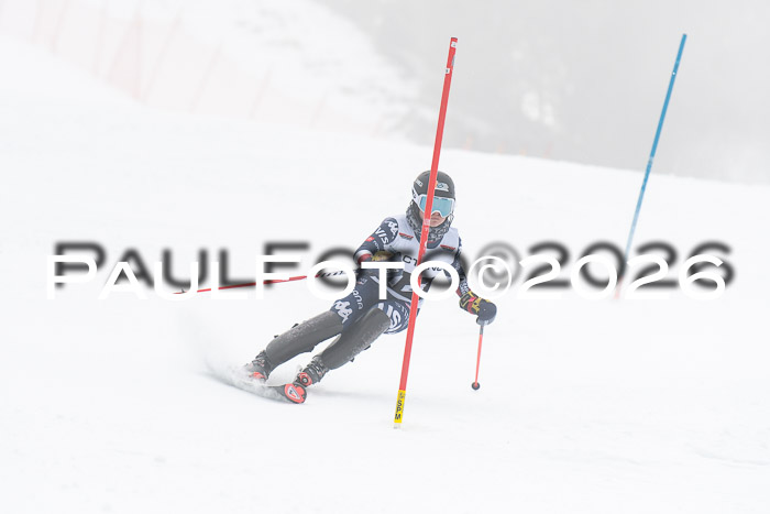 FIS Slalom Damen + Herren, 25.01.26