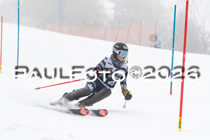 FIS Slalom Damen + Herren, 25.01.26