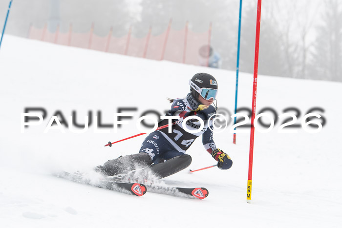 FIS Slalom Damen + Herren, 25.01.26