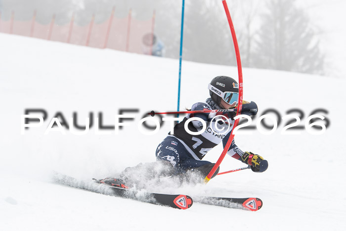 FIS Slalom Damen + Herren, 25.01.26