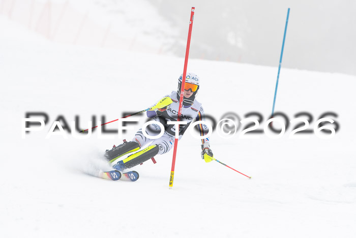 FIS Slalom Damen + Herren, 25.01.26