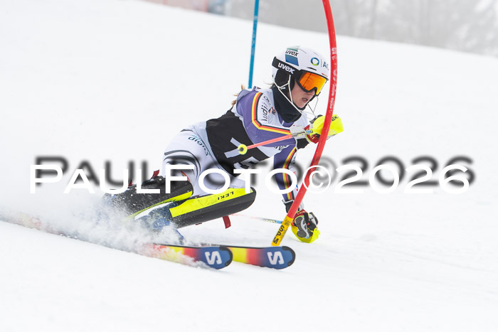 FIS Slalom Damen + Herren, 25.01.26