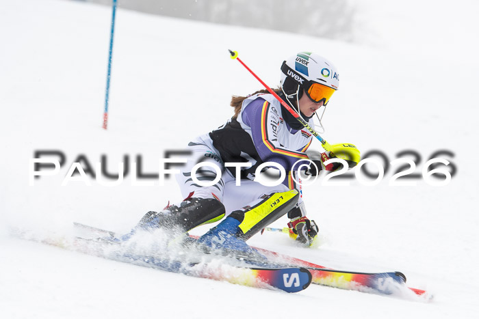 FIS Slalom Damen + Herren, 25.01.26