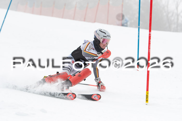 FIS Slalom Damen + Herren, 25.01.26