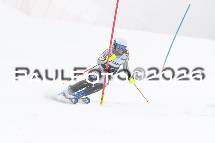FIS Slalom Damen + Herren, 25.01.26