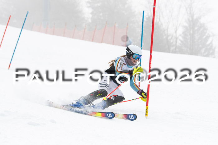 FIS Slalom Damen + Herren, 25.01.26