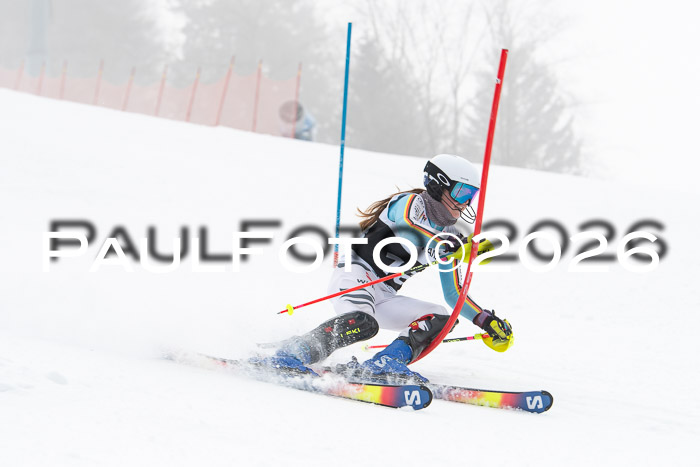 FIS Slalom Damen + Herren, 25.01.26
