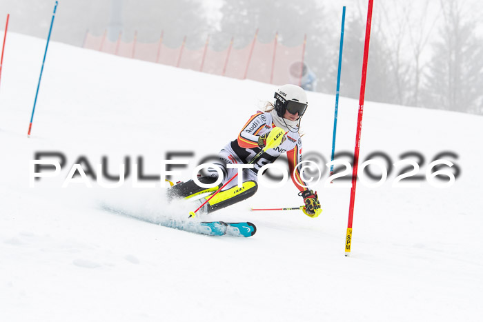 FIS Slalom Damen + Herren, 25.01.26