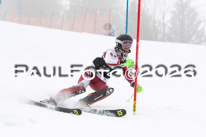 FIS Slalom Damen + Herren, 25.01.26