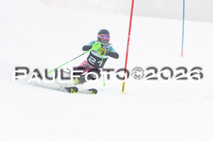 FIS Slalom Damen + Herren, 25.01.26