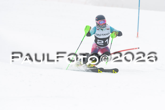 FIS Slalom Damen + Herren, 25.01.26