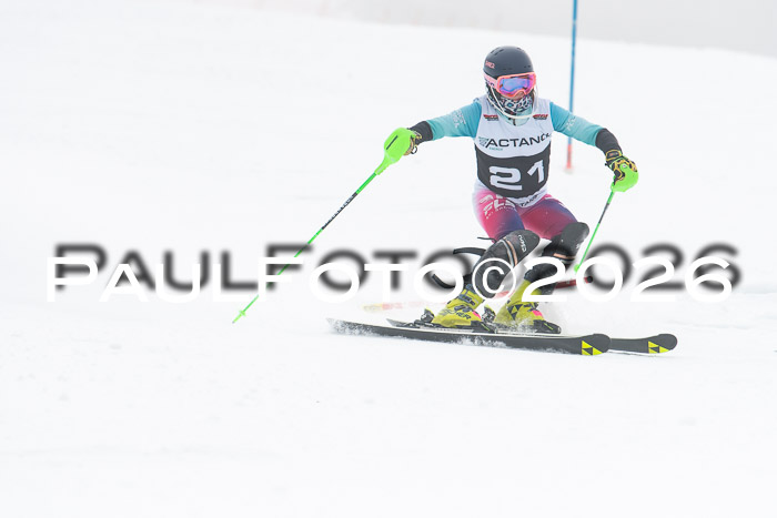 FIS Slalom Damen + Herren, 25.01.26