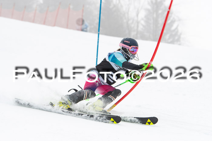 FIS Slalom Damen + Herren, 25.01.26