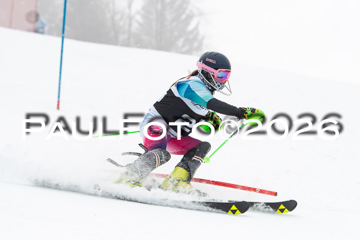 FIS Slalom Damen + Herren, 25.01.26