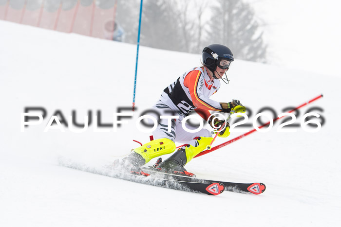 FIS Slalom Damen + Herren, 25.01.26