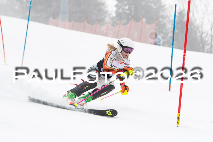 FIS Slalom Damen + Herren, 25.01.26