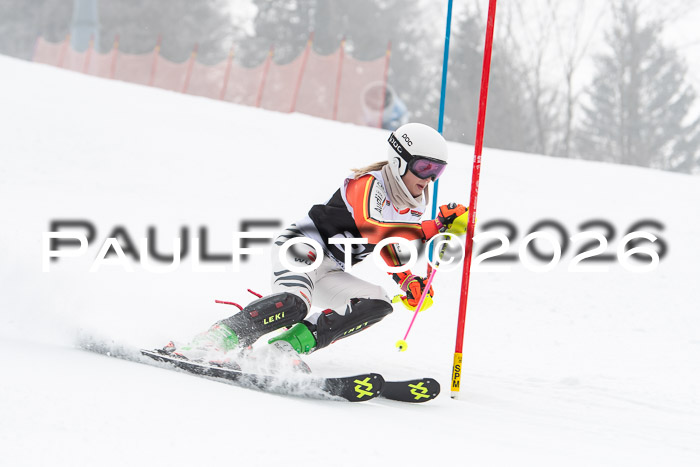 FIS Slalom Damen + Herren, 25.01.26