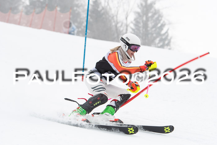 FIS Slalom Damen + Herren, 25.01.26