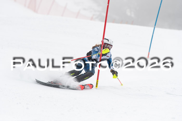 FIS Slalom Damen + Herren, 25.01.26