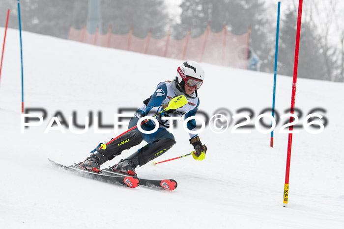 FIS Slalom Damen + Herren, 25.01.26