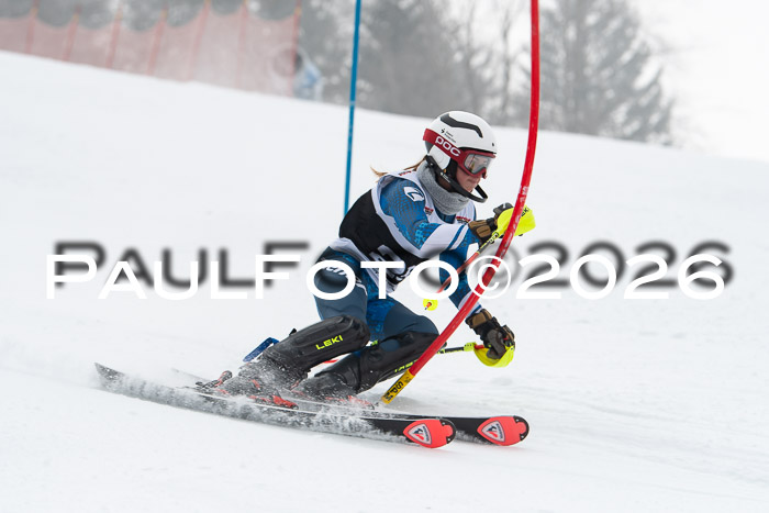 FIS Slalom Damen + Herren, 25.01.26