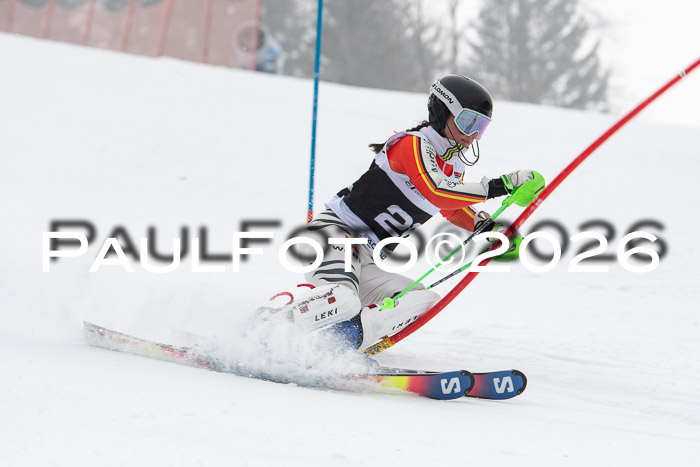 FIS Slalom Damen + Herren, 25.01.26
