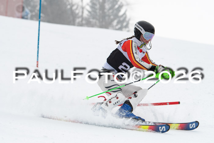 FIS Slalom Damen + Herren, 25.01.26