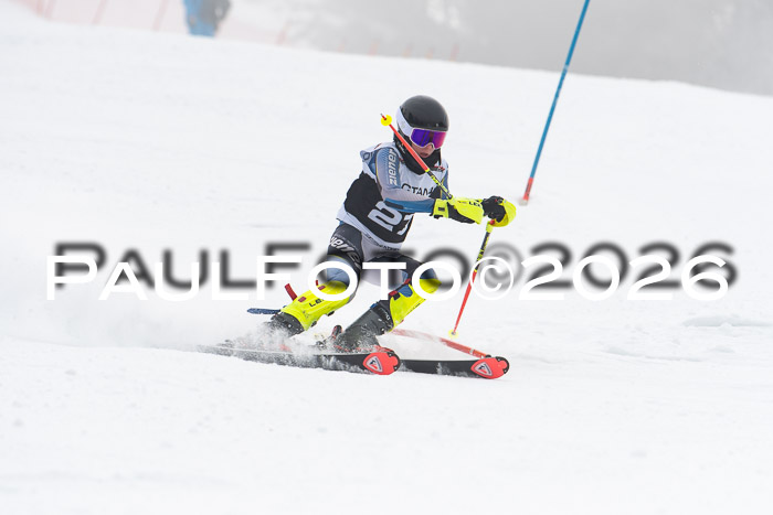FIS Slalom Damen + Herren, 25.01.26