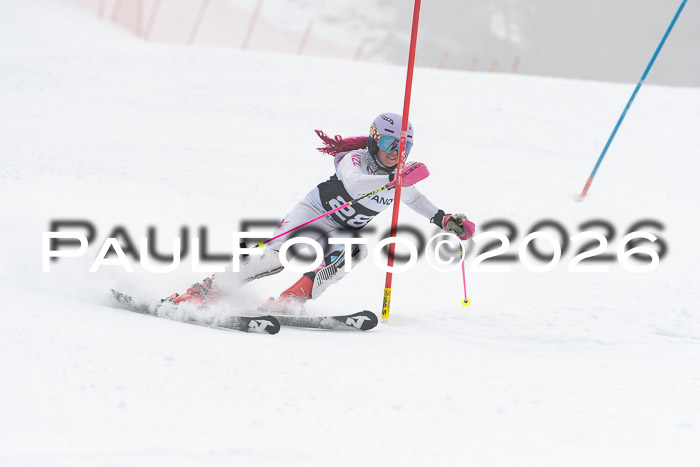 FIS Slalom Damen + Herren, 25.01.26