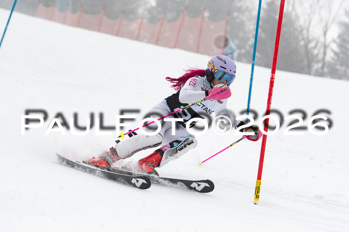 FIS Slalom Damen + Herren, 25.01.26