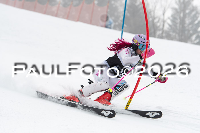 FIS Slalom Damen + Herren, 25.01.26