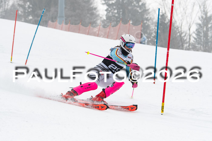 FIS Slalom Damen + Herren, 25.01.26