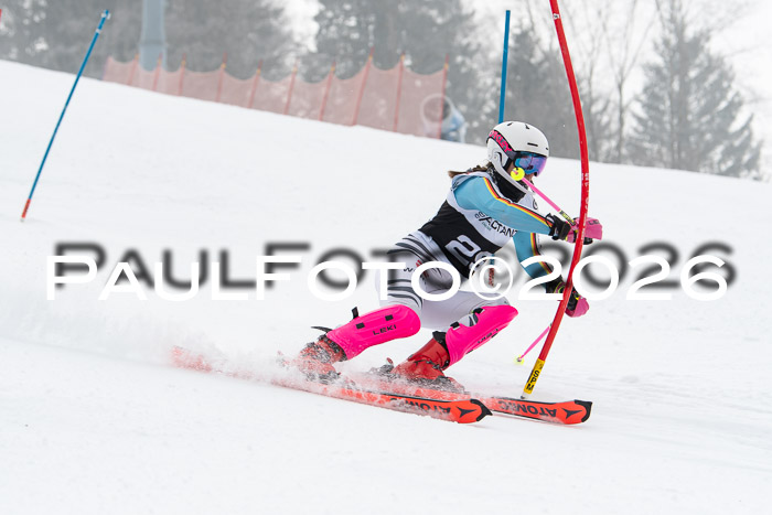 FIS Slalom Damen + Herren, 25.01.26