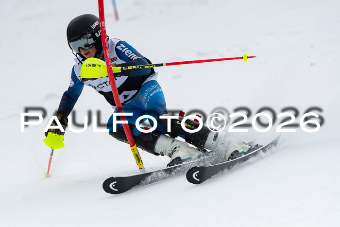 FIS Slalom Damen + Herren, 25.01.26