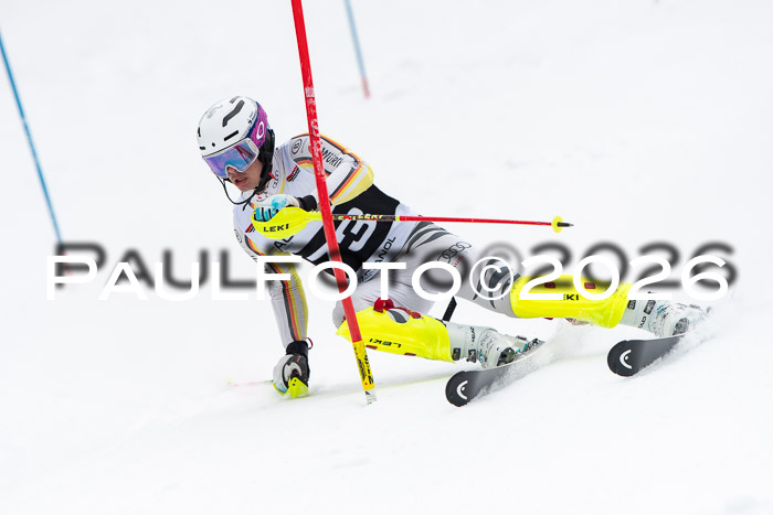 FIS Slalom Damen + Herren, 25.01.26