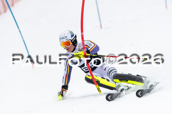 FIS Slalom Damen + Herren, 25.01.26