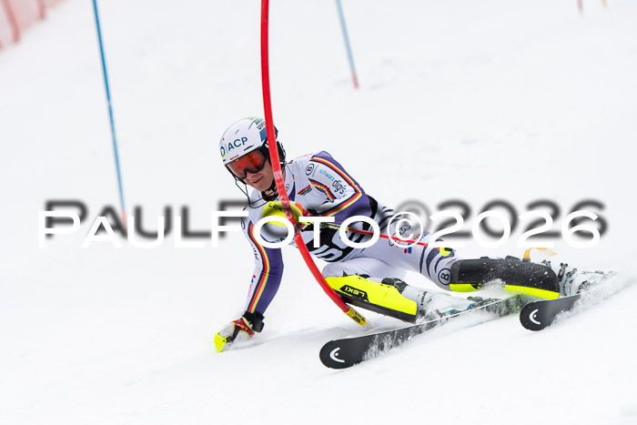 FIS Slalom Damen + Herren, 25.01.26